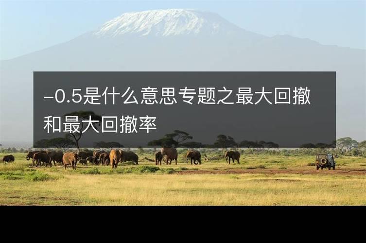最大回撤什么意思？看完这篇文章就懂了