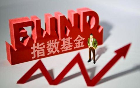指数型基金是什么？