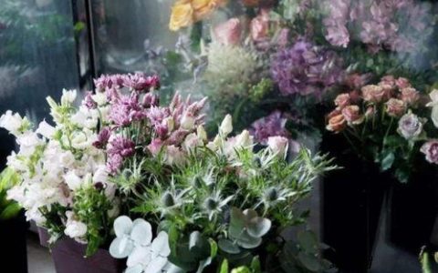 口袋花app下载，让鲜花触手可及