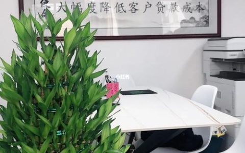 如何找贷款中介公司？