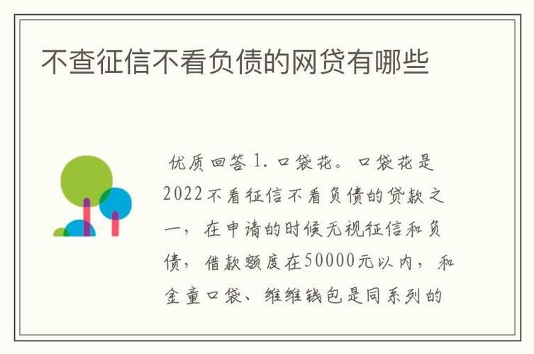 不查征信不看负债的网贷新口子？2024年最新整理