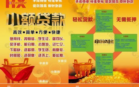 广州数融互联网小额贷款有限公司：快速便捷的互联网信贷服务