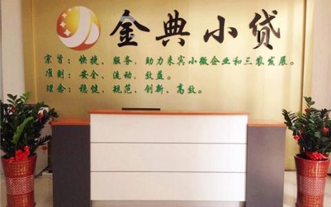 北京金陵小额贷款有限公司简介