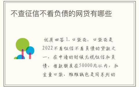 2024不看征信的网贷口子有哪些？